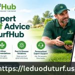 expert du turf