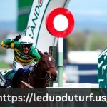 Paddy Power Horse Racing