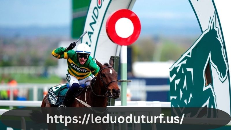 Paddy Power Horse Racing