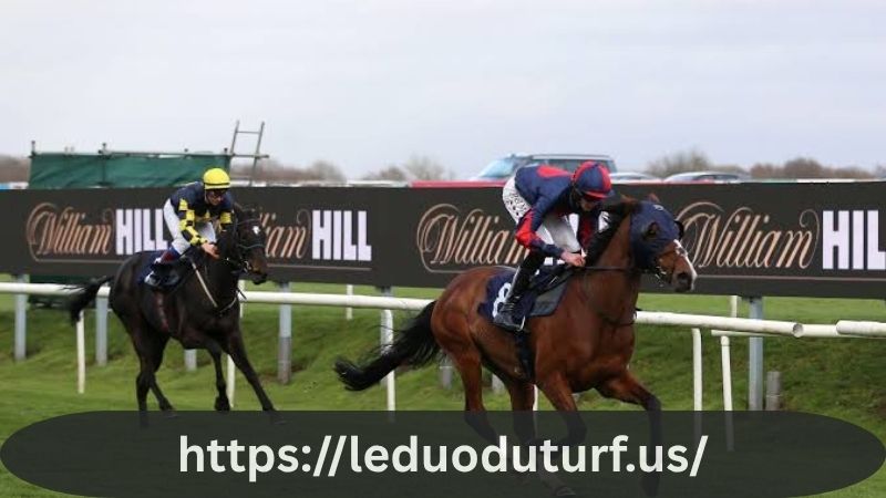 William Hill Horse Racing