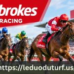 Ladbrokes Horse Racing